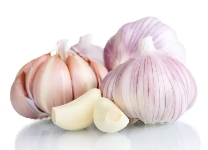 garlic for the treatment of varicose veins of the legs